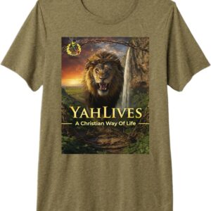 A christian way of life tshirt